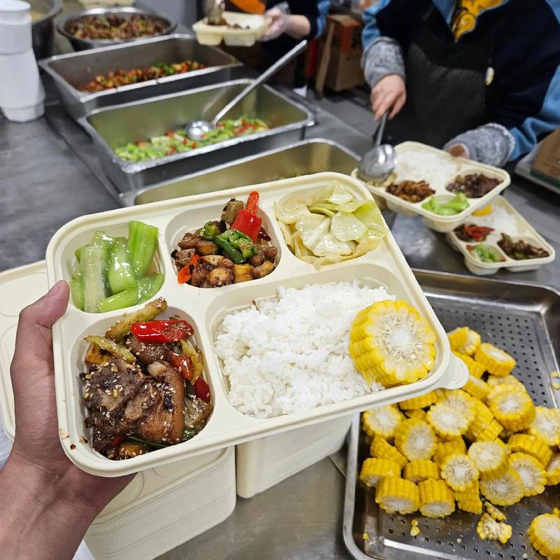 校园食堂托管迎来新气象